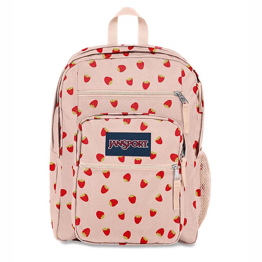 Sac à Dos Ordinateur JanSport BIG STUDENT Rose | YGW-03934061